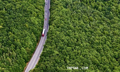 1-8月份物流運行有所回暖 微觀(guān)活力有待增強