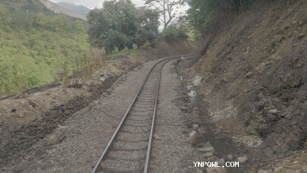 中老鐵路：架起兩國經(jīng)濟發(fā)展賦能之路