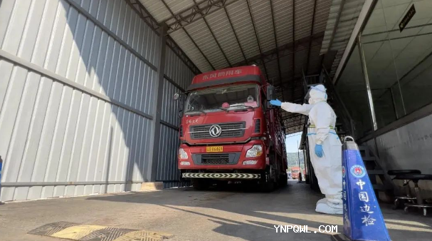 中老鐵路，鐵路集裝箱運輸