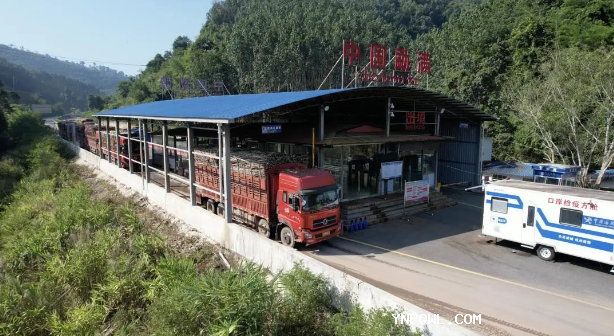 中老鐵路，鐵路集裝箱運輸