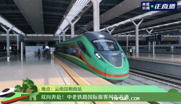 中老鐵路貨運,鐵路集裝箱