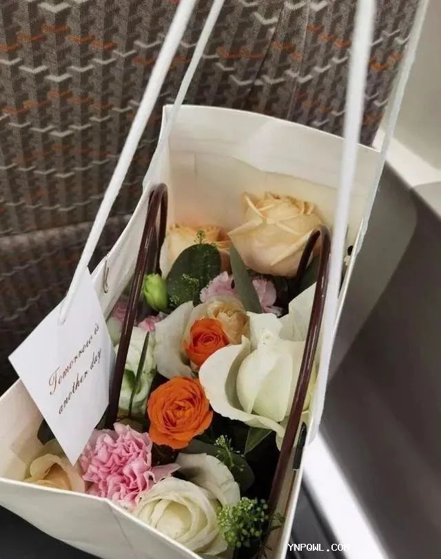 中老鐵路貨運,鐵路集裝箱